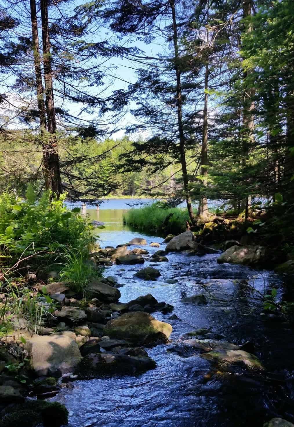 A creek on the Adams Reservoir in Woodford State Park my Matt Parsons A creek on the Adams Reservoir in Woodford State Park my Matt Parsons