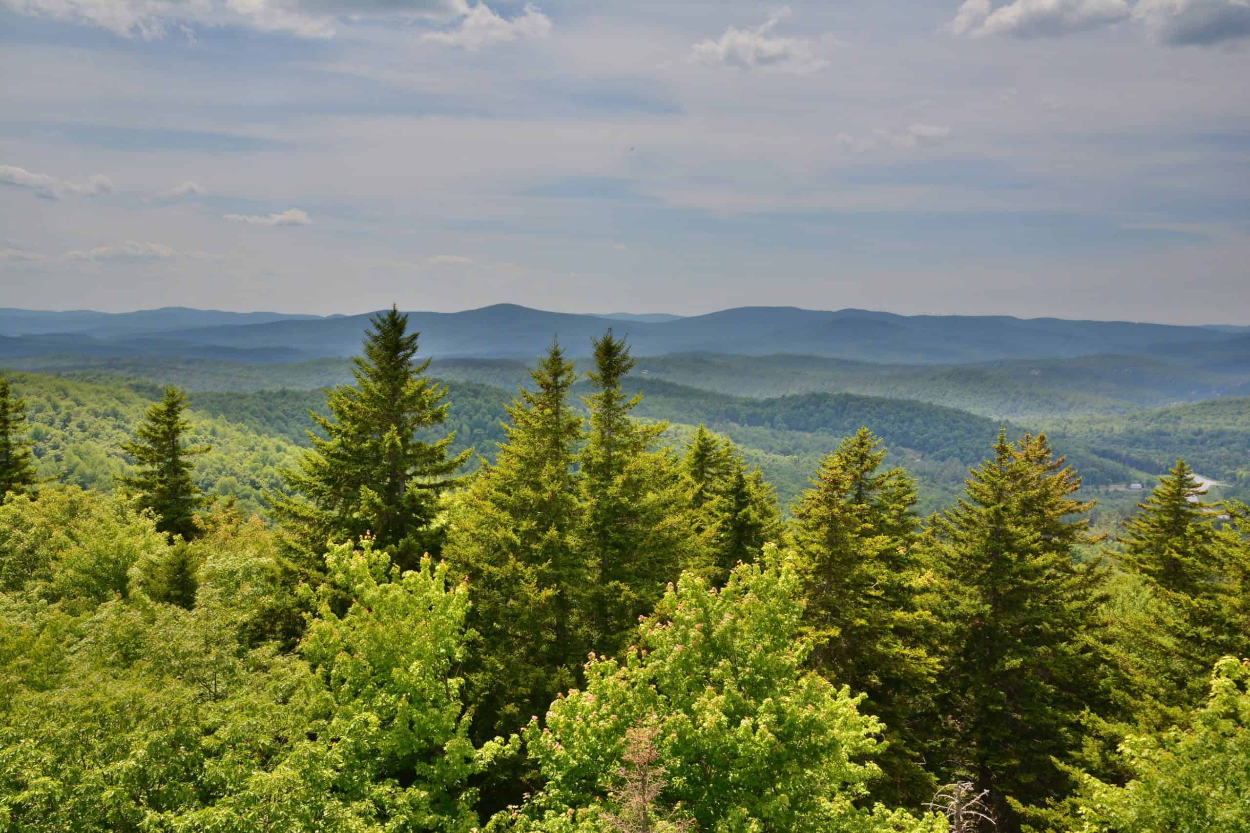 DSC_0951 DSC_0951